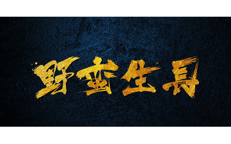 那些靠著抄襲別的BMS廠商研發(fā)的BMS成果就能發(fā)財?shù)哪甏呀?jīng)一去不回了！